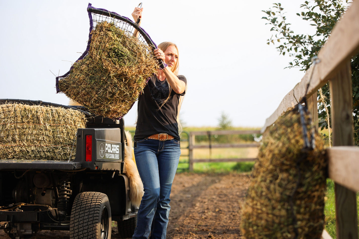 Regular Haynet - Haylo Haynets, LLC ~ Blessings Grow Meadows