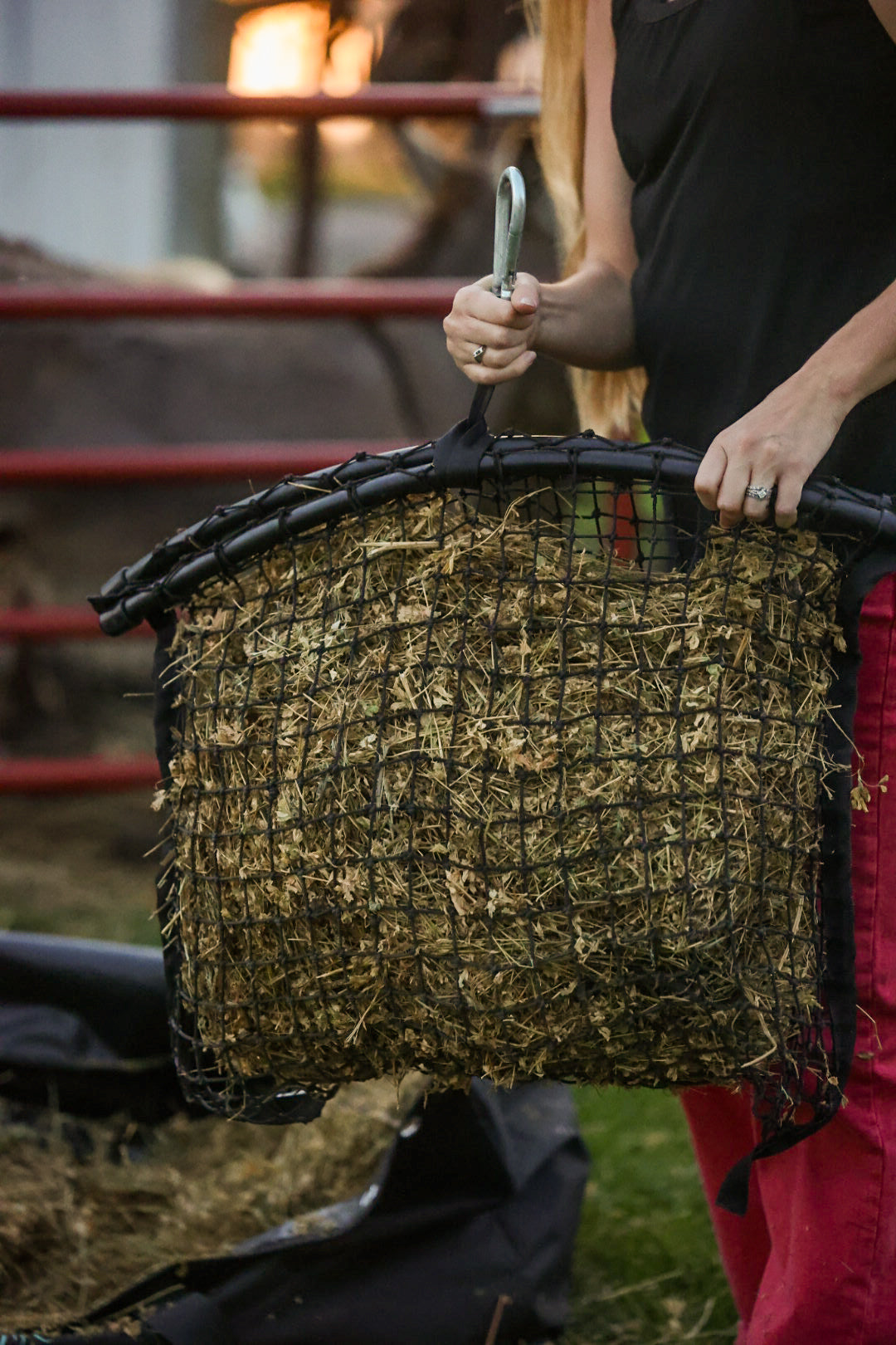 Haylo XS - Haylo Haynets, LLC ~ Blessings Grow Meadows