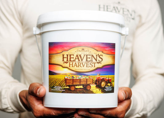 Heaven's Harvest heirloom vegetable seed kit with various colorful seeds in small packets, ready for planting.