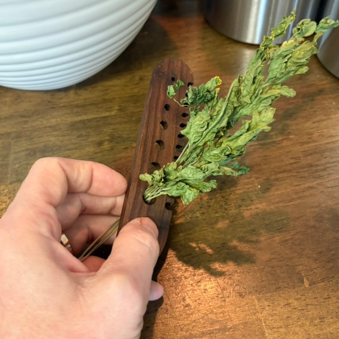 Walnut wood herb comb by Quailz.com, featuring a natural, handcrafted design for grooming and styling herbs.