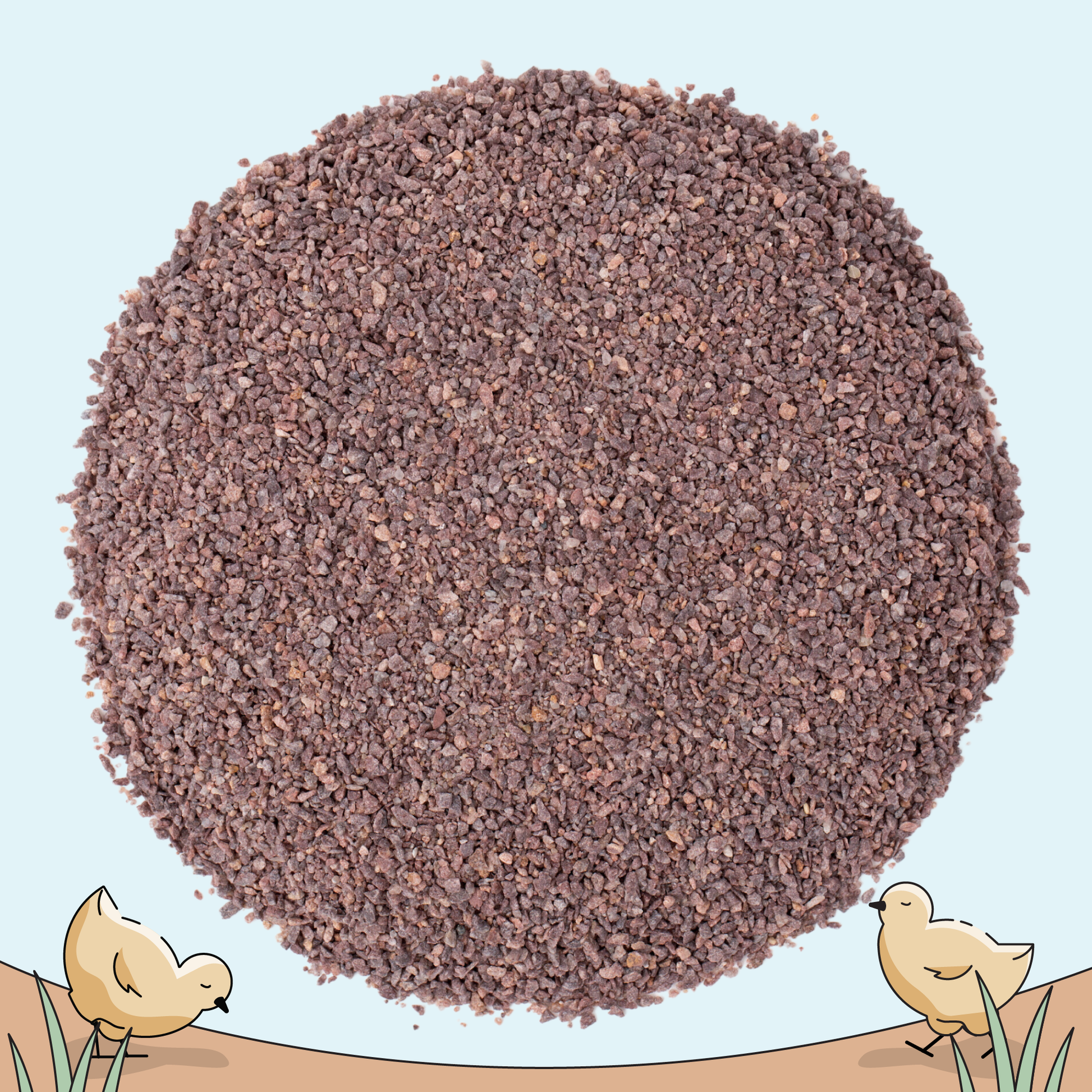 Starter Feed Kit | 8 Weeks of Organic Feed & Grit for 6 Chicks - Blessings Grow Meadows