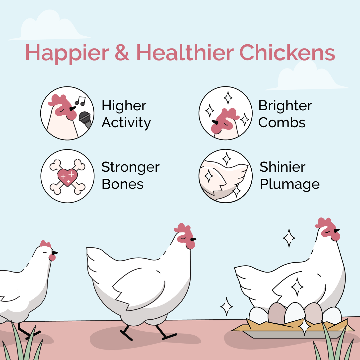 Layer Feed Kit | 1 Month of Organic Feed, Grit & Oyster Shell for 6 Layers - Blessings Grow Meadows