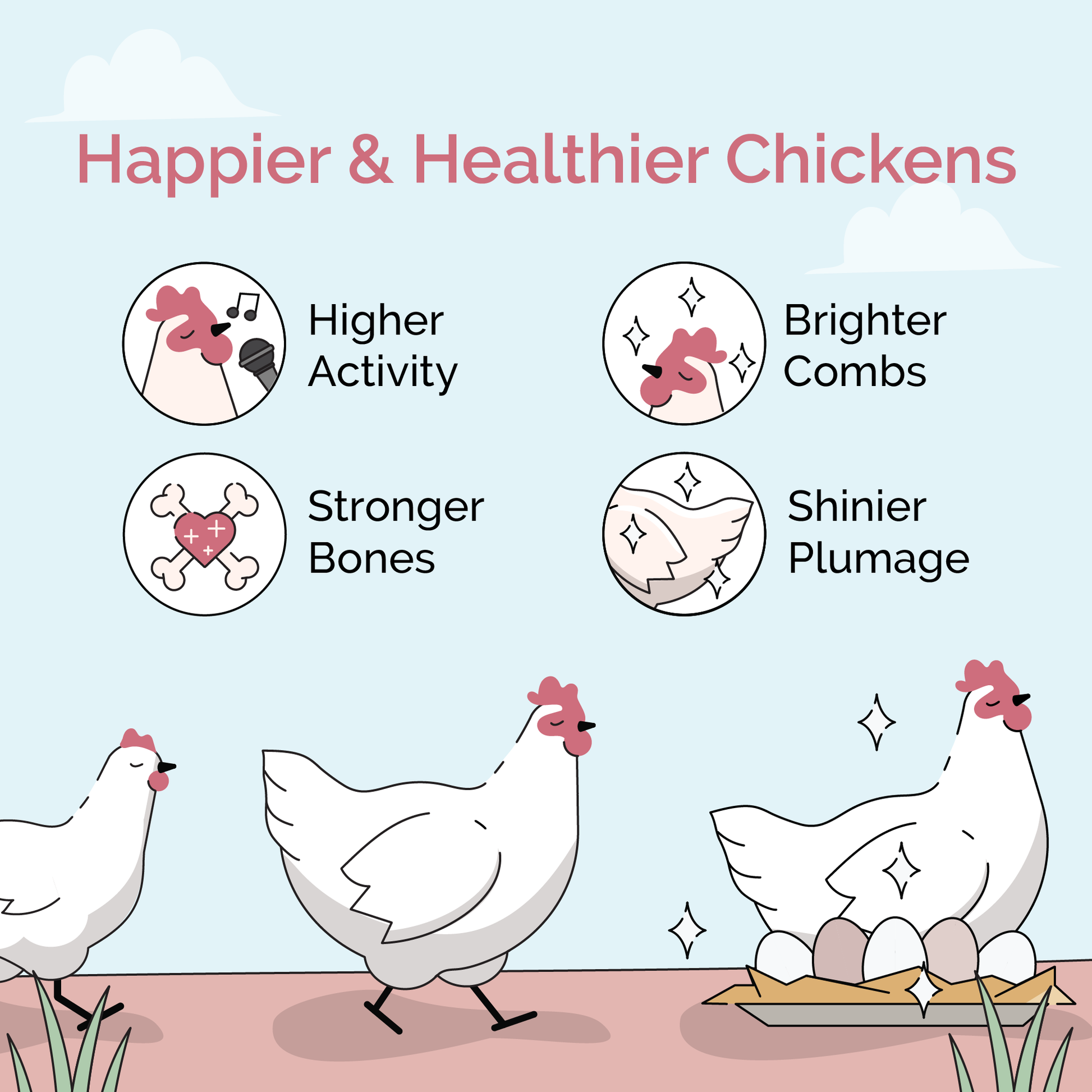 Layer Feed Kit | 1 Month of Organic Feed, Grit & Oyster Shell for 6 Layers - Blessings Grow Meadows