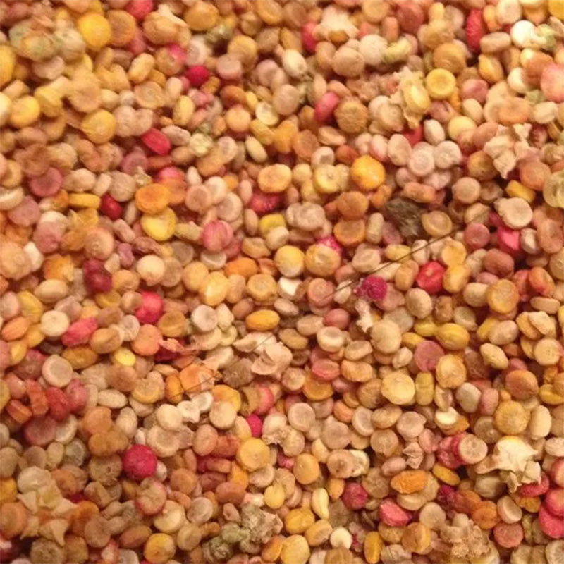 High Desert Mix Quinoa Grain Seeds - Blessings Grow Meadows -