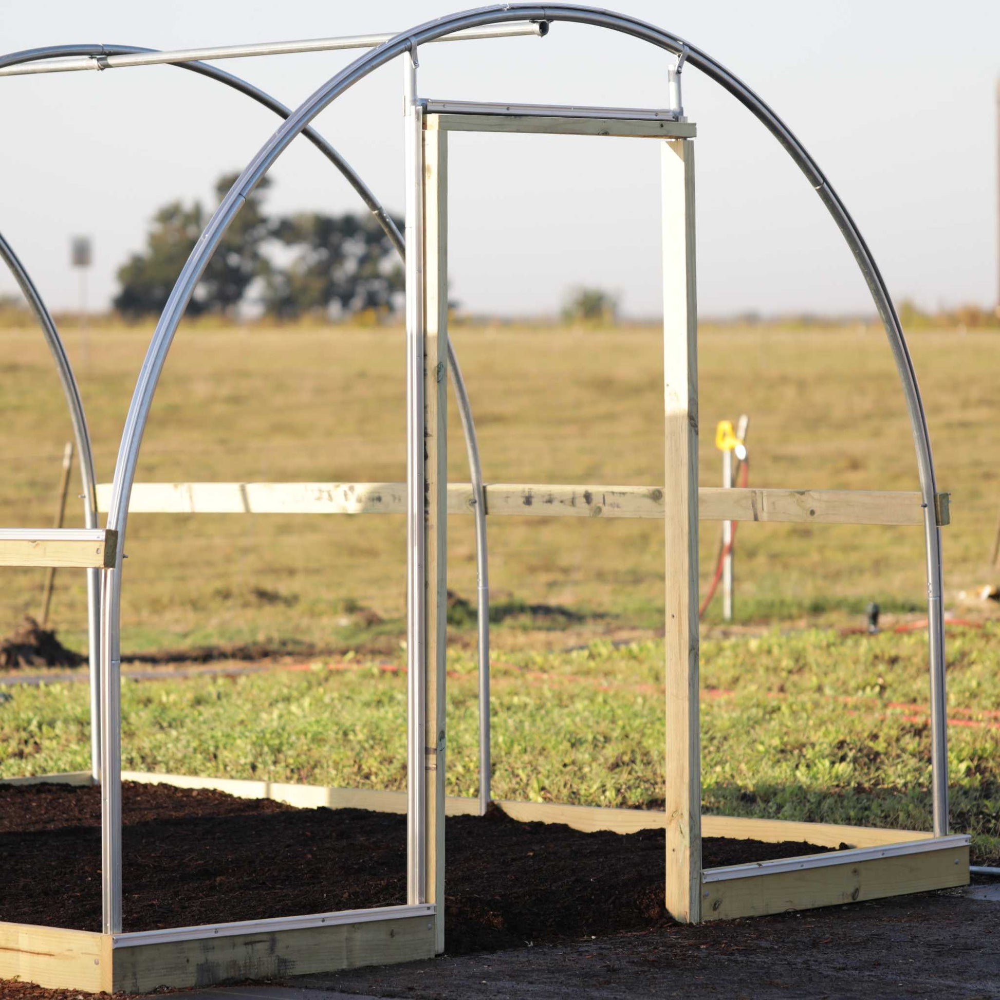 Hobby Greenhouse Kit - Bootstrap Farmer ~ Blessings Grow Meadows