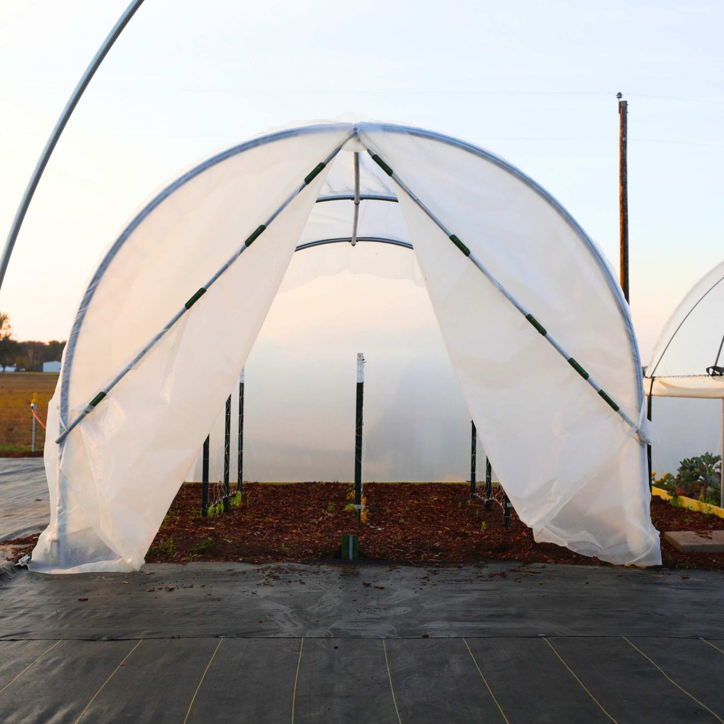 10' x 12' Backyard Greenhouse Kit with Scissor Door & Roll-Up Sides