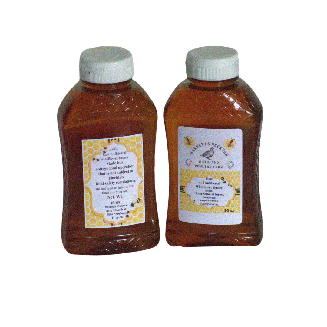 Raw, unfiltered wildflower honey from Ocala National Forest by Quailz.com, showcasing golden honey in a glass jar.