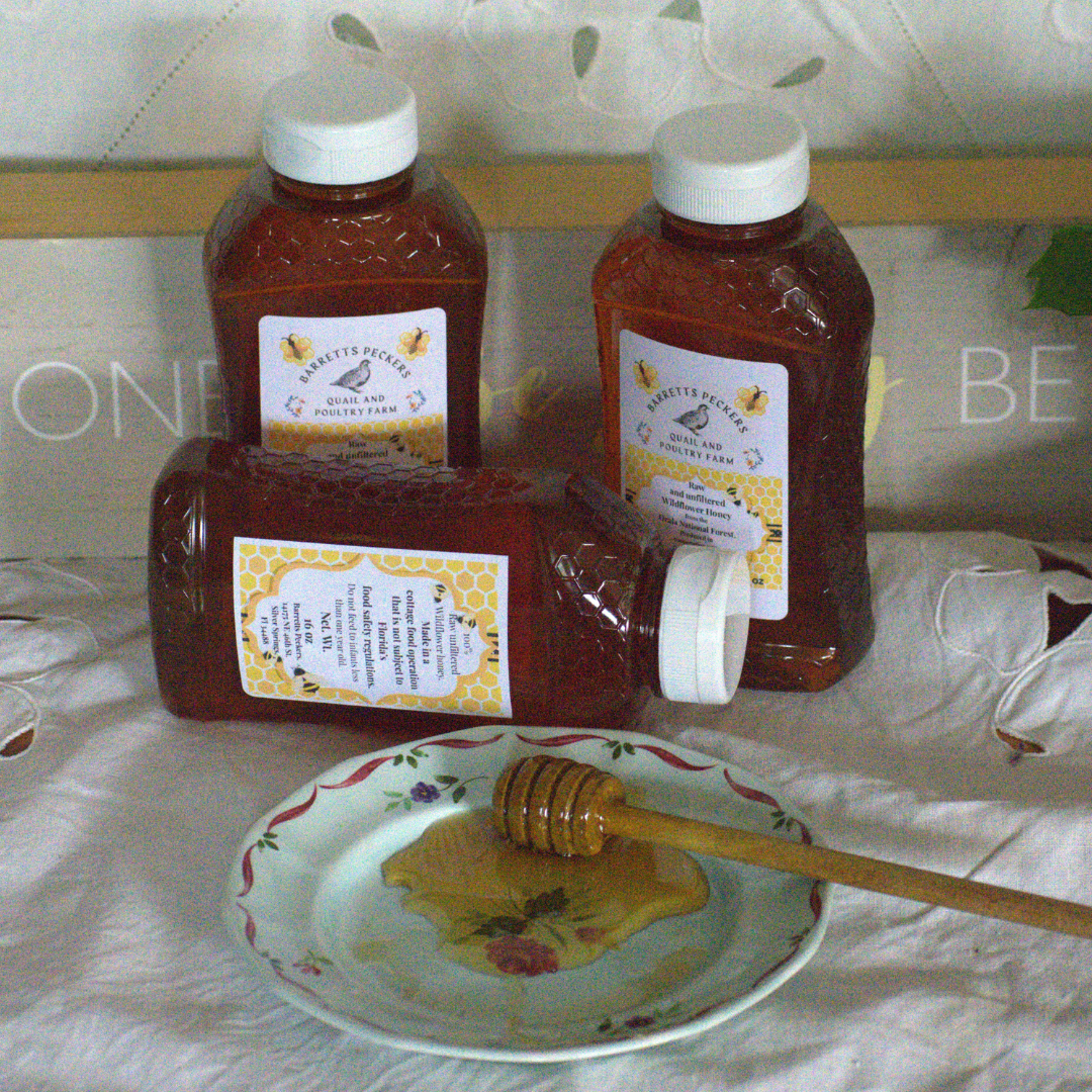 Jar of raw, unfiltered wildflower honey from Ocala National Forest by Quailz.com, showcasing golden honey with a natural texture.