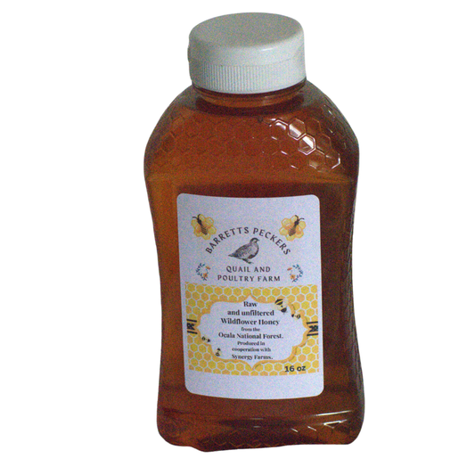Raw, unfiltered wildflower honey from Ocala National Forest by Quailz.com, shown in a glass jar with golden honey and wildflower blossoms.
