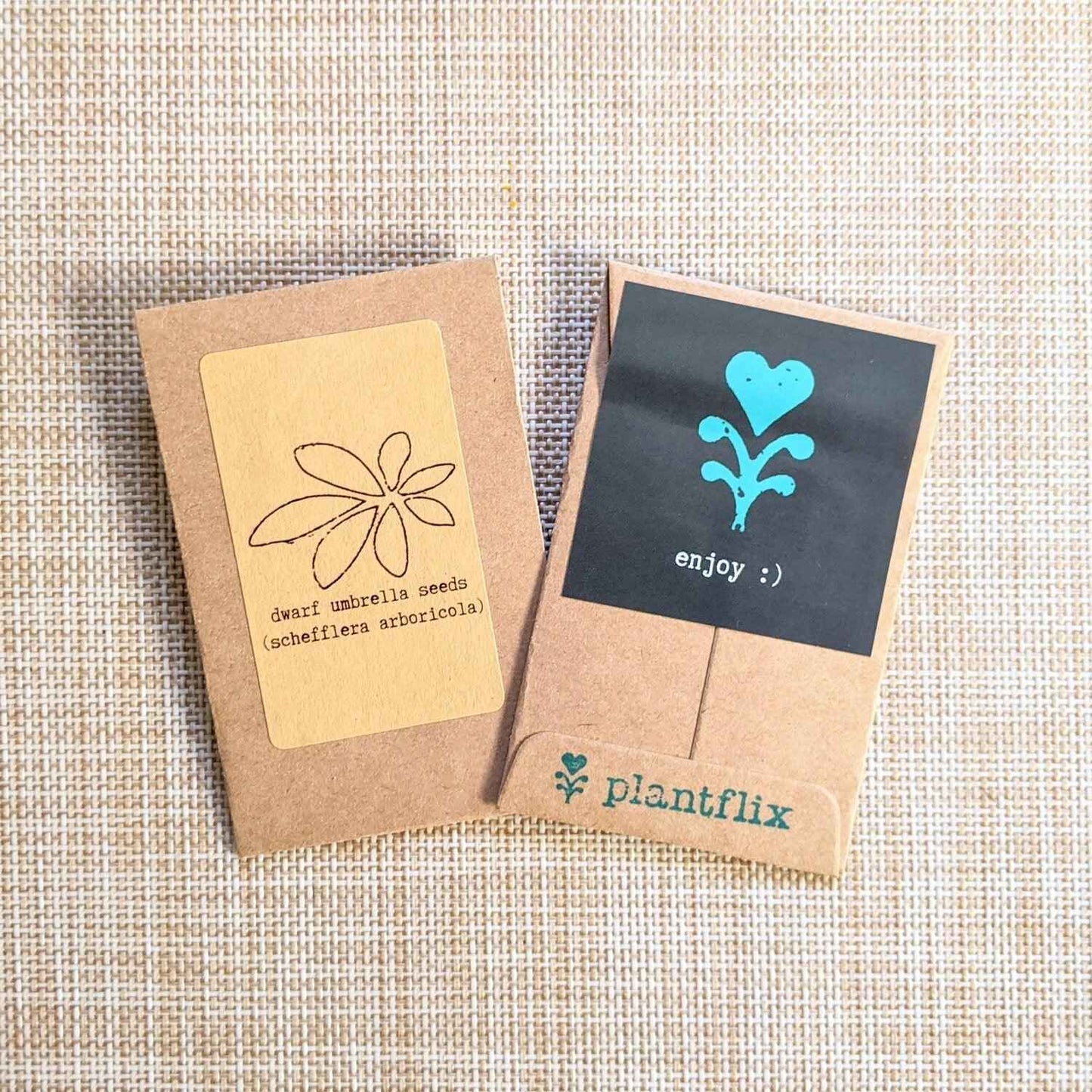 Houseplant Buff Houseplant Seed Collection - Blessings Grow Meadows -