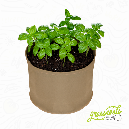 Living Soil Fabric Pot by Grassroots Fabric Pots, showing a durable black fabric plant container with healthy soil inside.