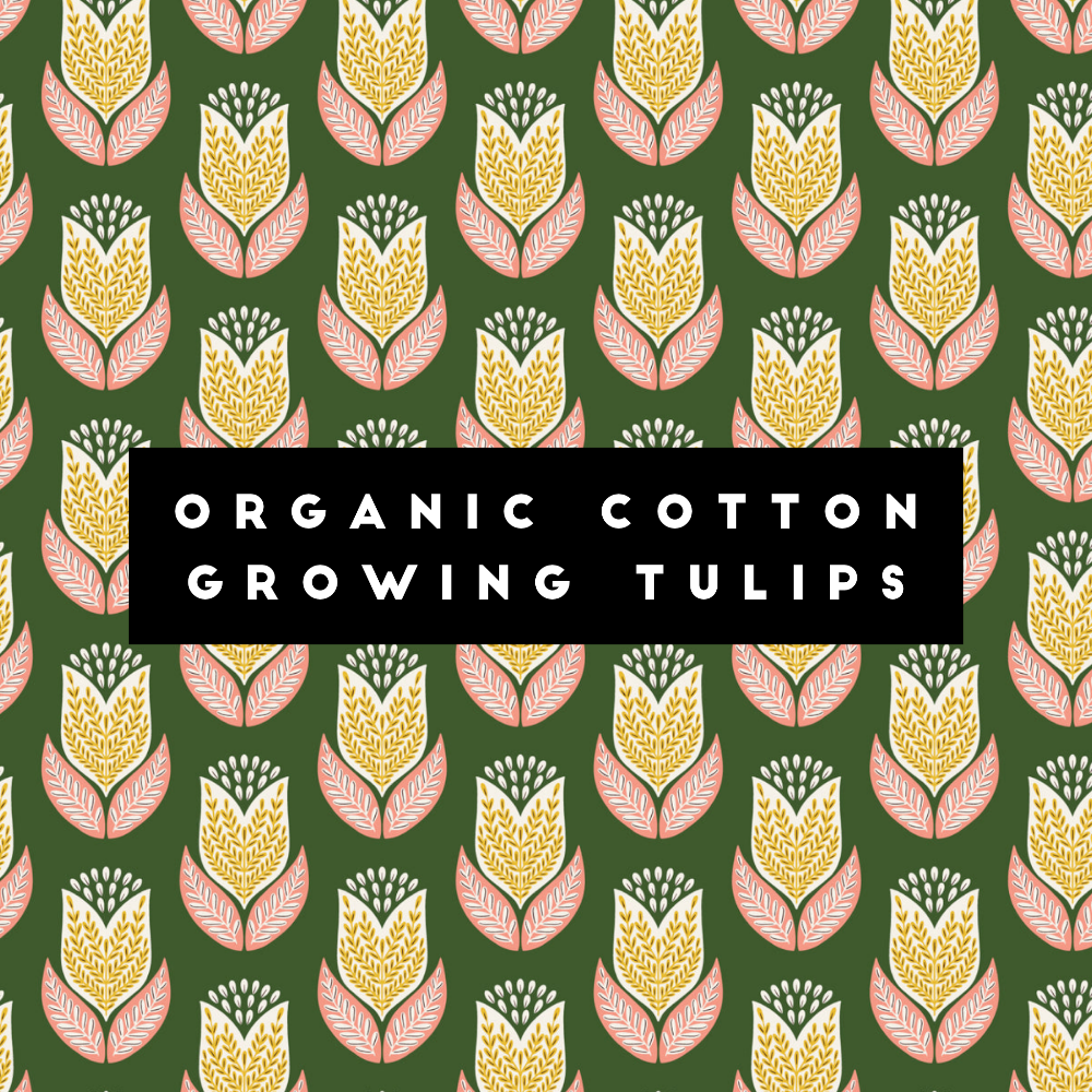 Bread Bag | Beeswaxed - Blessings Grow Meadows