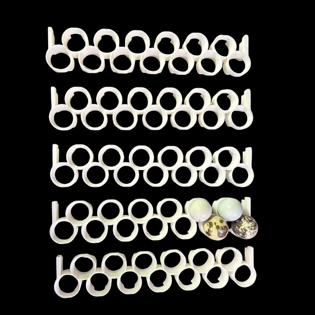 Jumbo Quail Egg Rails for Cimuka®/Hatching Time® Incubators (CT-Series)