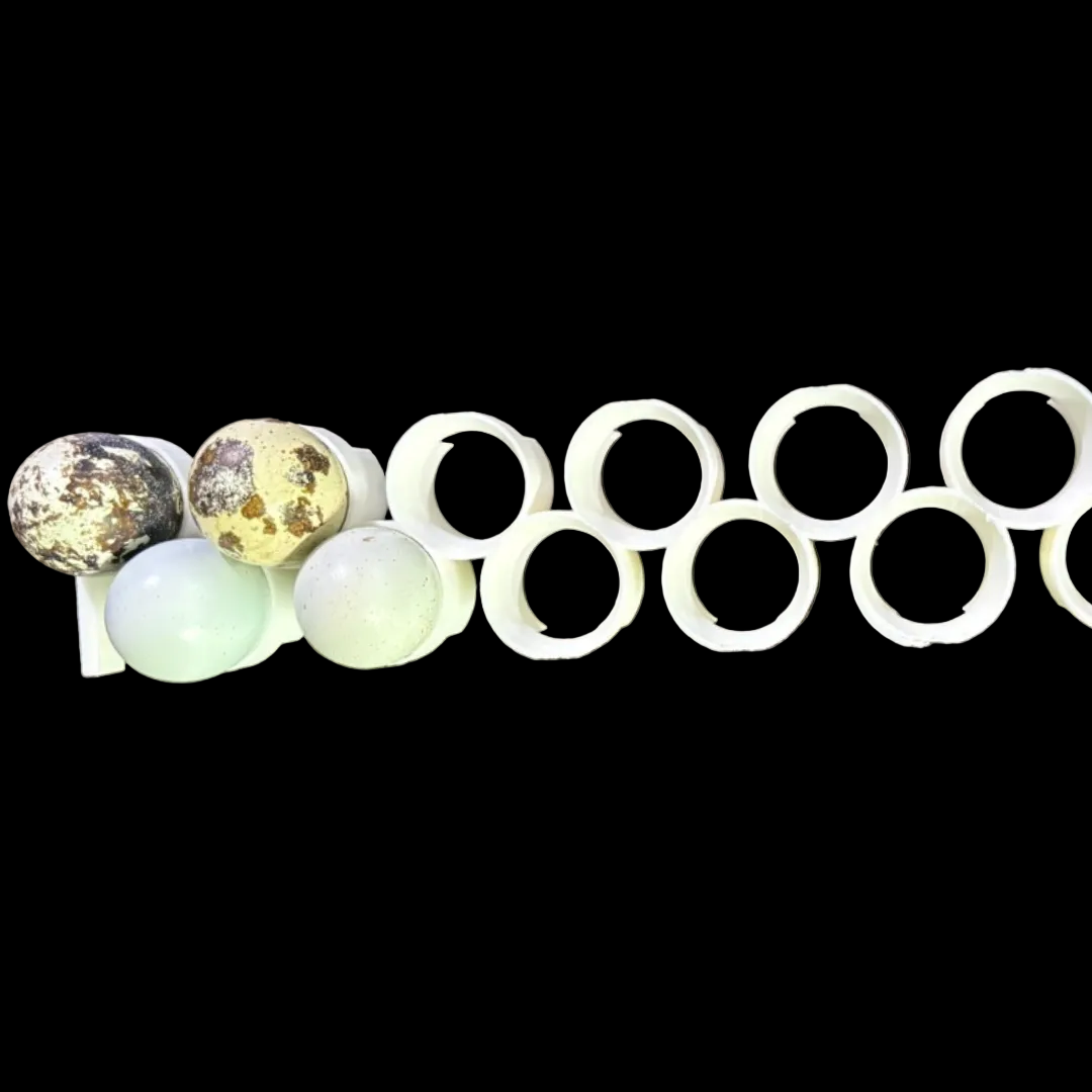Jumbo Quail Egg Rails for Cimuka®/Hatching Time® Incubators (CT-Series)