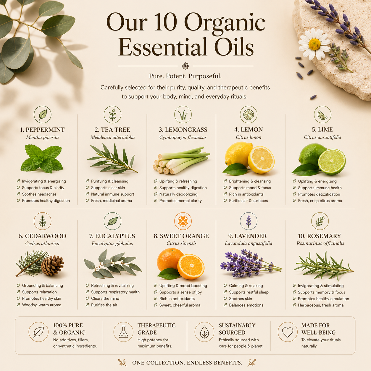 Timeless Organics Skin Care peppermint leaf extract in a clear glass bottle with a white label on a wooden surface