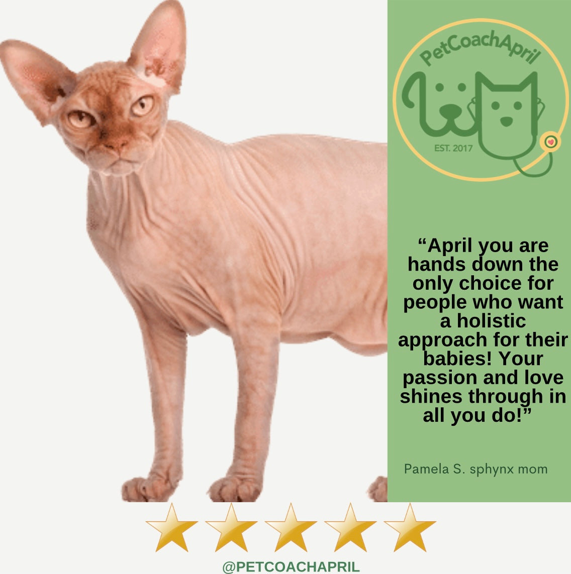 PET HEALTH & BEHAVIOR CONSULTS - Blessings Grow Meadows