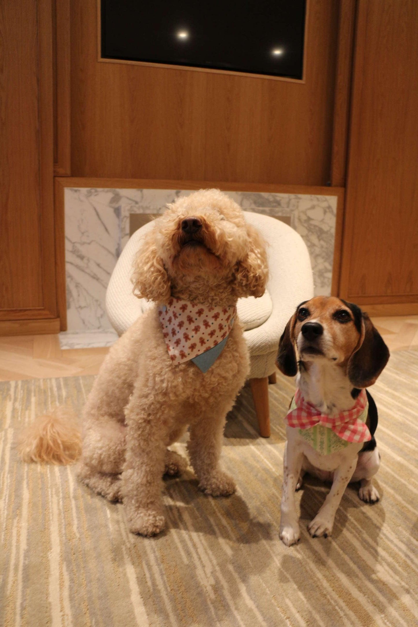 Picnic Bliss Floral Gingham Print Bandana - BarkBarkBaby ~ Blessings Grow Meadows