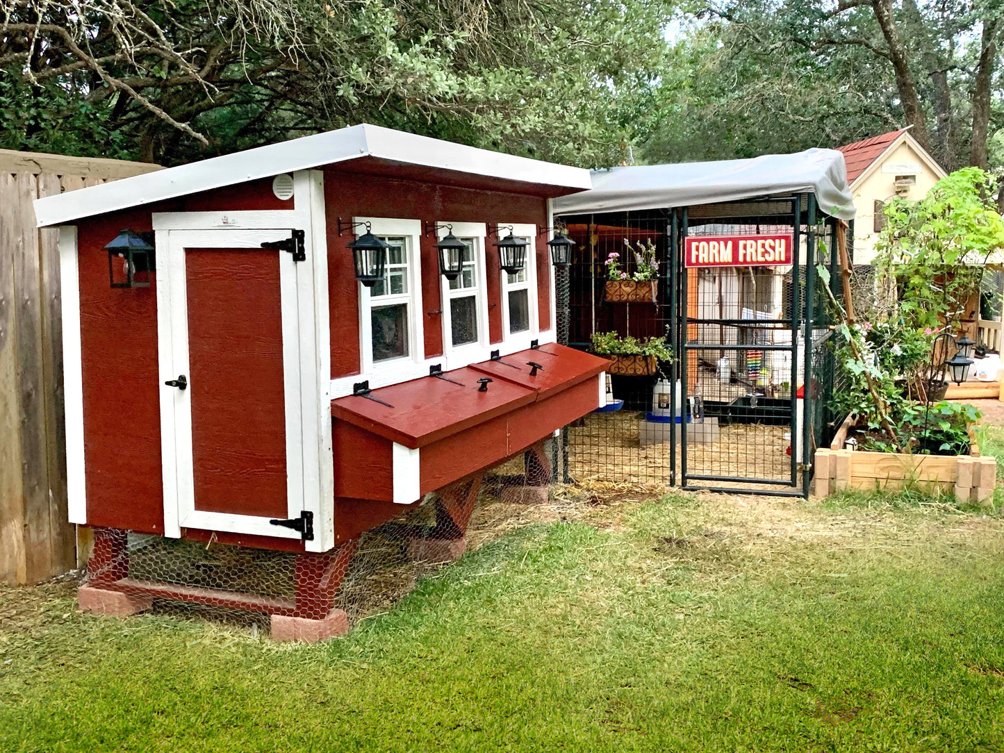 OverEZ XL chicken coop designed for up to 20 chickens, featuring spacious outdoor housing with a sturdy structure.