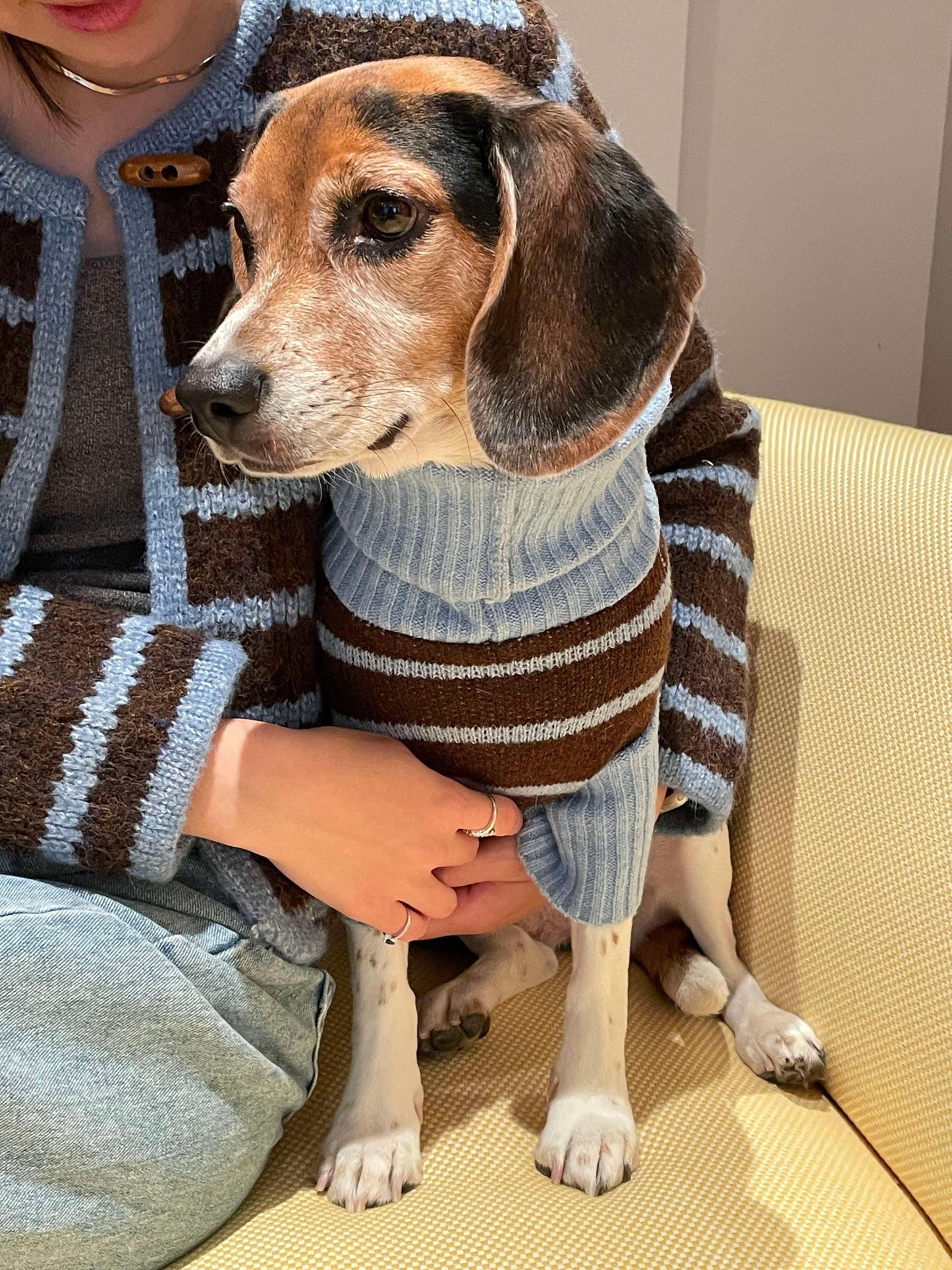 Bluebell Stripes Sweater - BarkBarkBaby ~ Blessings Grow Meadows