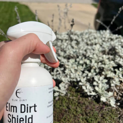Elm Dirt's Shield, All Natural Pesticide - Blessings Grow Meadows