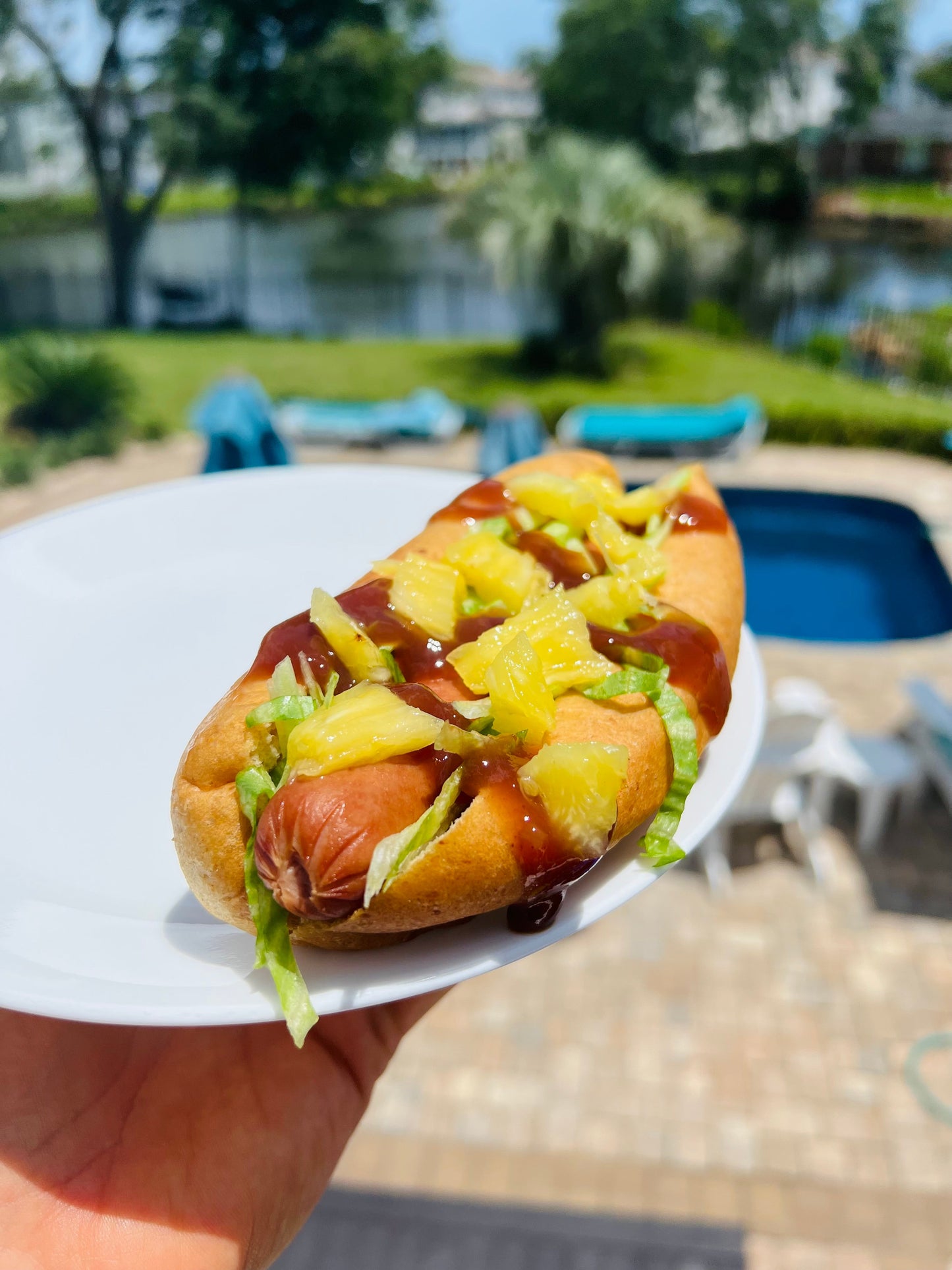 2 Bags of High Protein, Low-Carb Hot Dog Buns (12 Total Buns)
