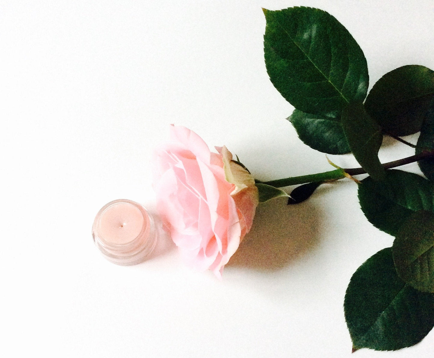 Plant Makeup Strawberry Dreamsicle Lip Balm Scrub with fresh strawberry and creamy texture, close-up of the product container.