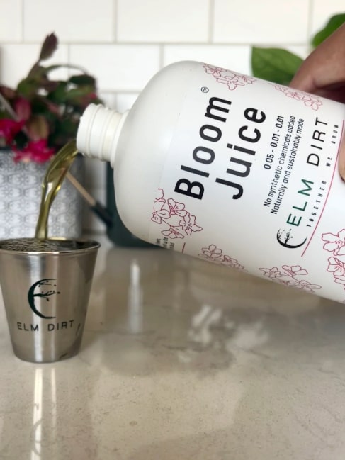 A hand pours Elm Dirt Bloom Juice—our award-winning formula for spectacular flowers—from a large white bottle into a metal measuring cup, with a potted plant on a kitchen counter in the background. This bloom enhancer promotes vibrant floral growth.