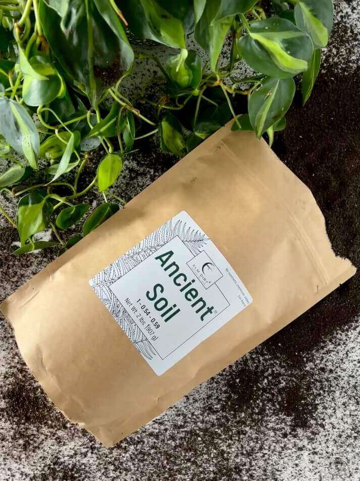 Ancient Soil: Organic Living Soil for Thriving Plants - Blessings Grow Meadows