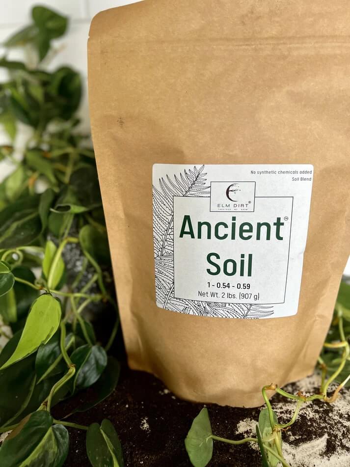 Ancient Soil: Organic Living Soil for Thriving Plants - Blessings Grow Meadows