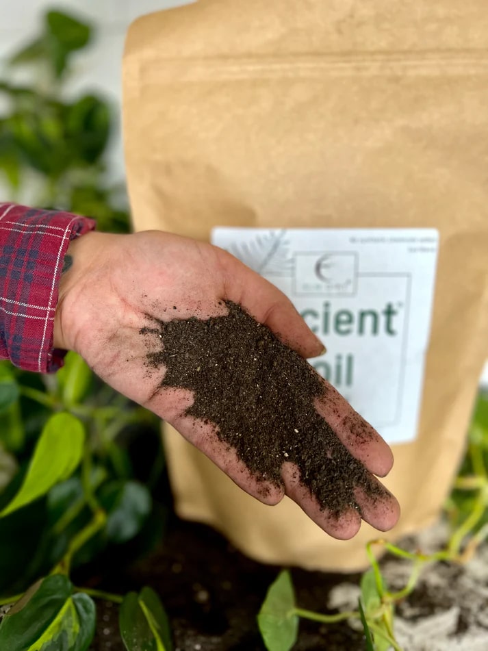 Ancient Soil: Organic Living Soil for Thriving Plants - Blessings Grow Meadows