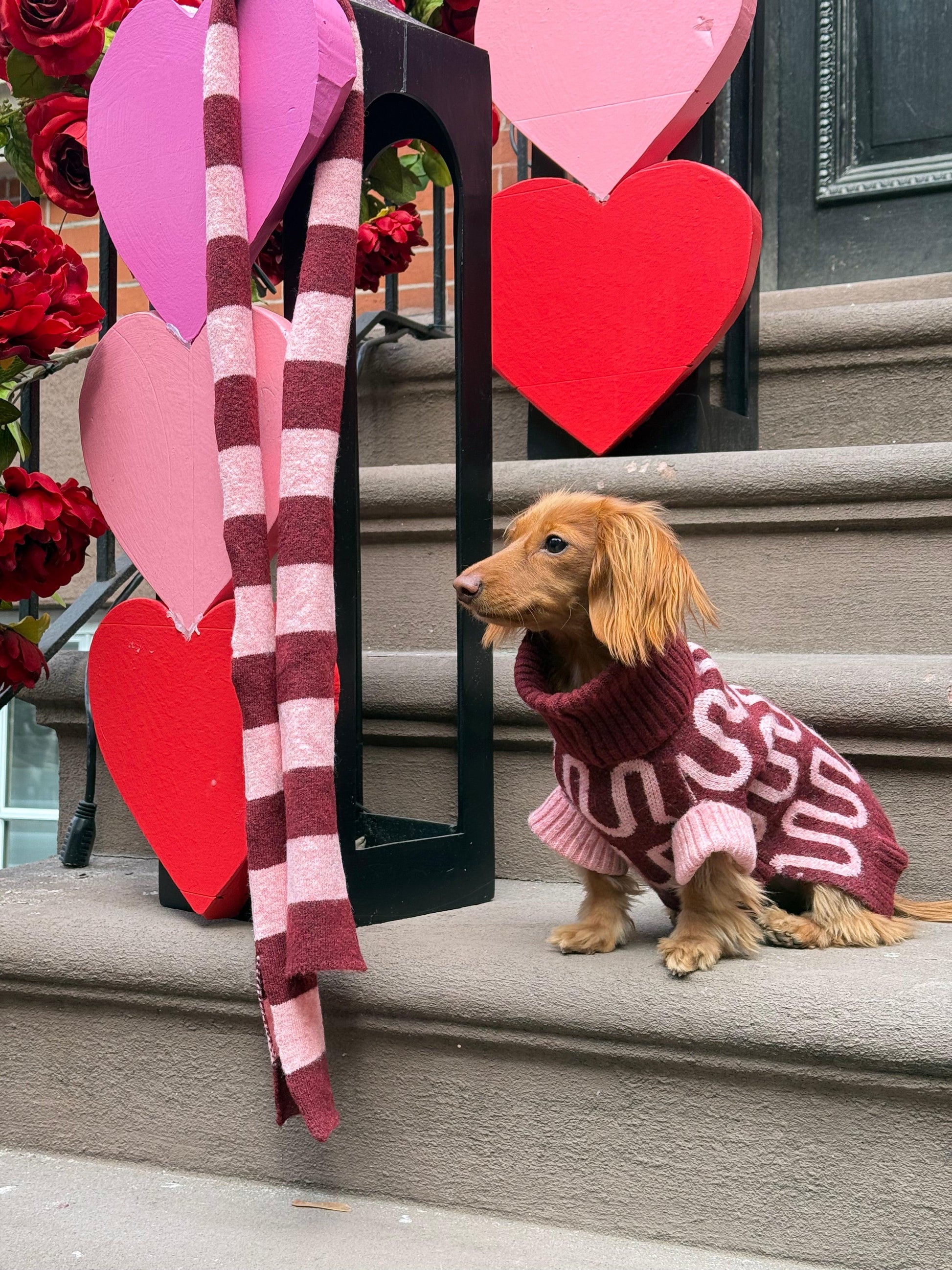 Rosé Bliss Sweater - BarkBarkBaby ~ Blessings Grow Meadows