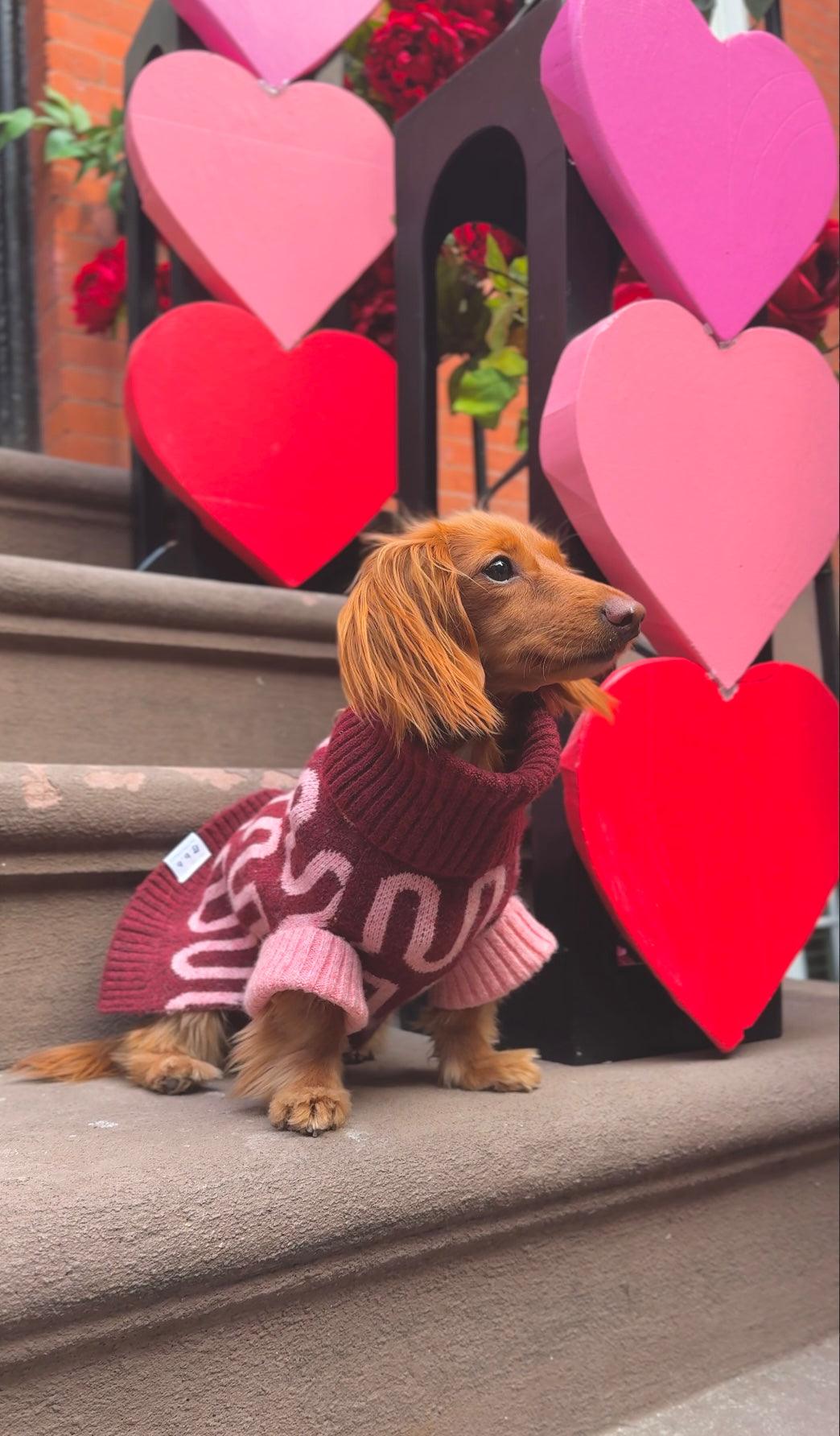 Rosé Bliss Sweater - BarkBarkBaby ~ Blessings Grow Meadows