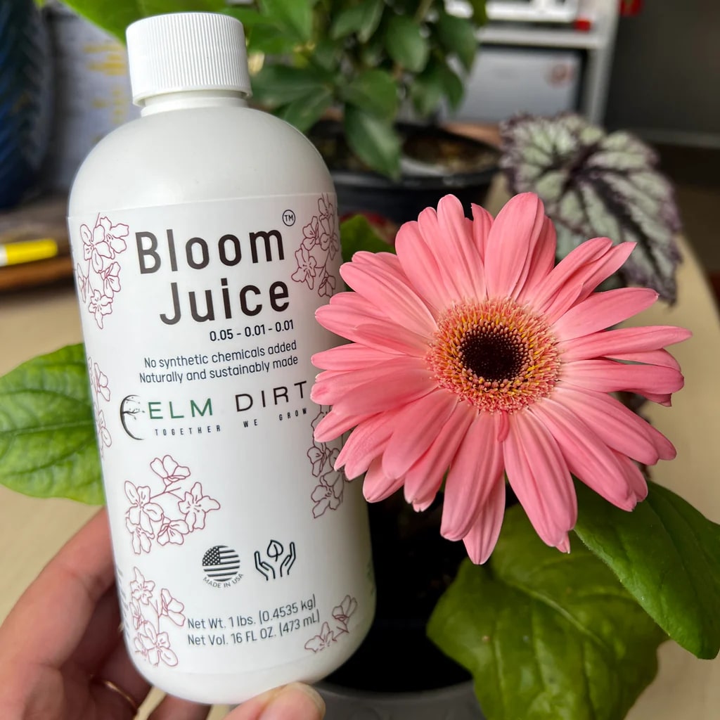 A hand holds a white bottle of Bloom Juice—Elm Dirt’s award-winning formula for spectacular flowers—beside a pink daisy-like bloom and green leaves, with potted plants in the background. The label highlights its all-natural, chemical-free composition.