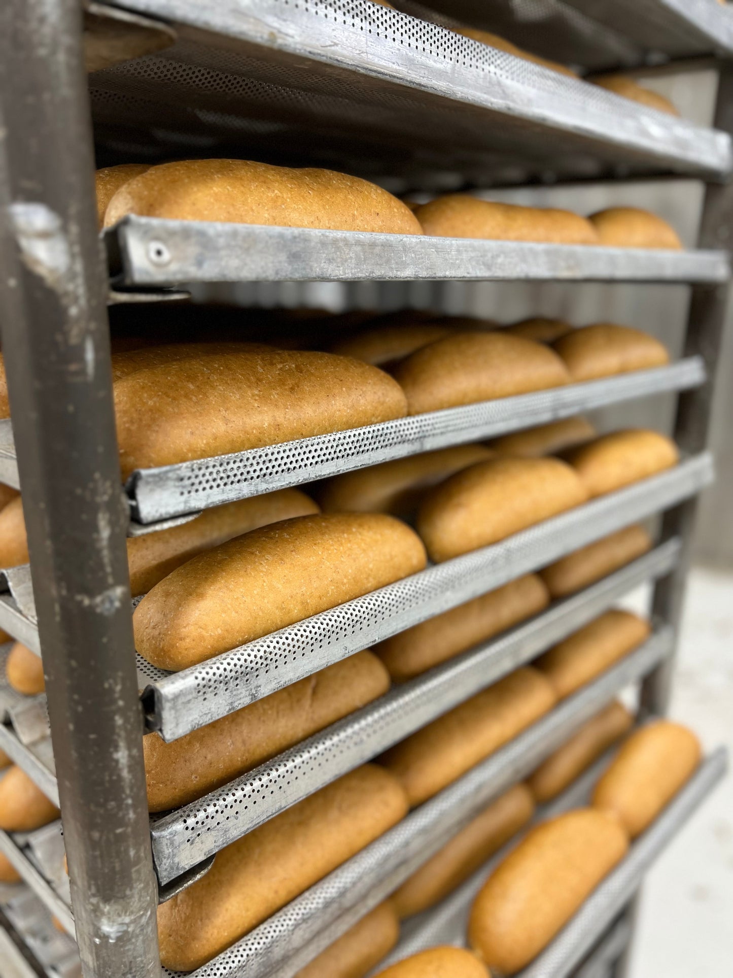 2 Bags of UnbelievaHoagies - High Protein, Low-Carb 8" Hoagie Rolls (8 Total Hoagies) - Blessings Grow Meadows