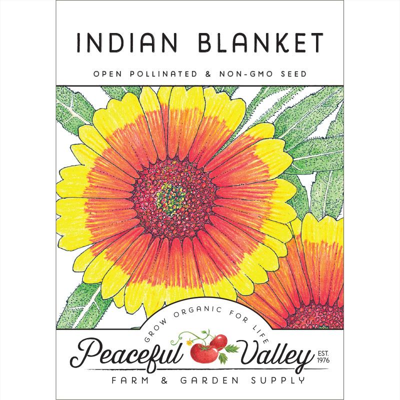 Indian Blanket (pack) - Blessings Grow Meadows