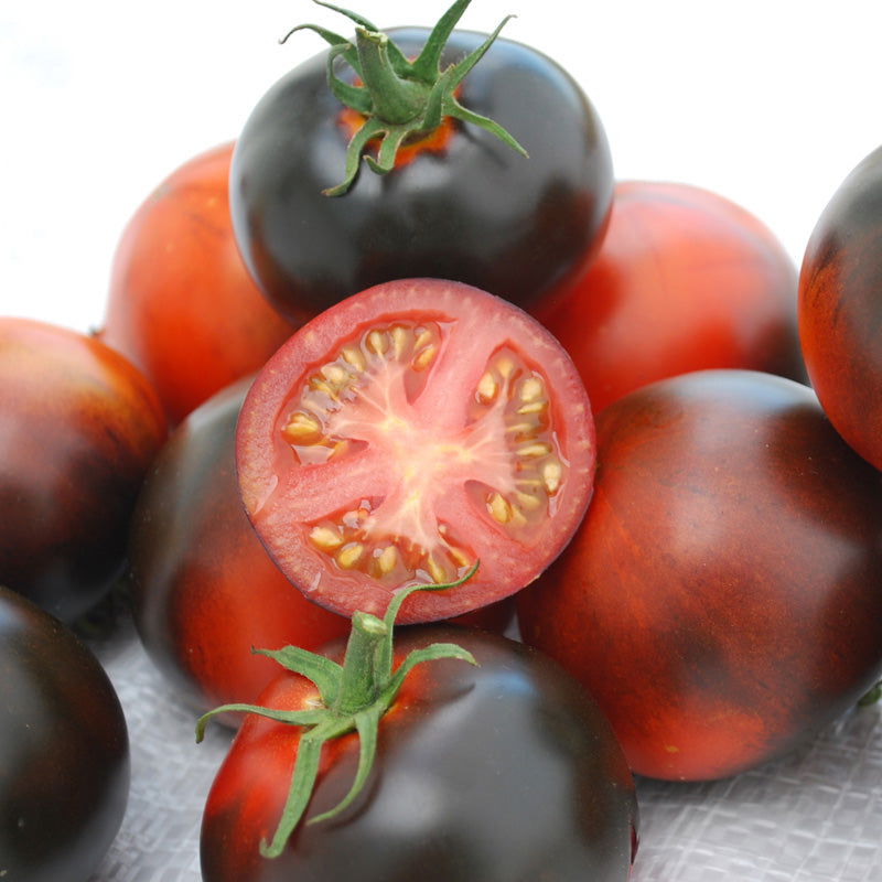 Indigo Apple Tomato Seeds (Organic) - Blessings Grow Meadows