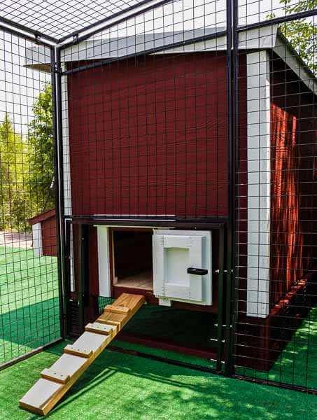 Walk-In 8 ft. Chicken Run (6'6"W x 7'6"L x 6'3"H) - OverEZ Chicken Coop ~ Blessings Grow Meadows