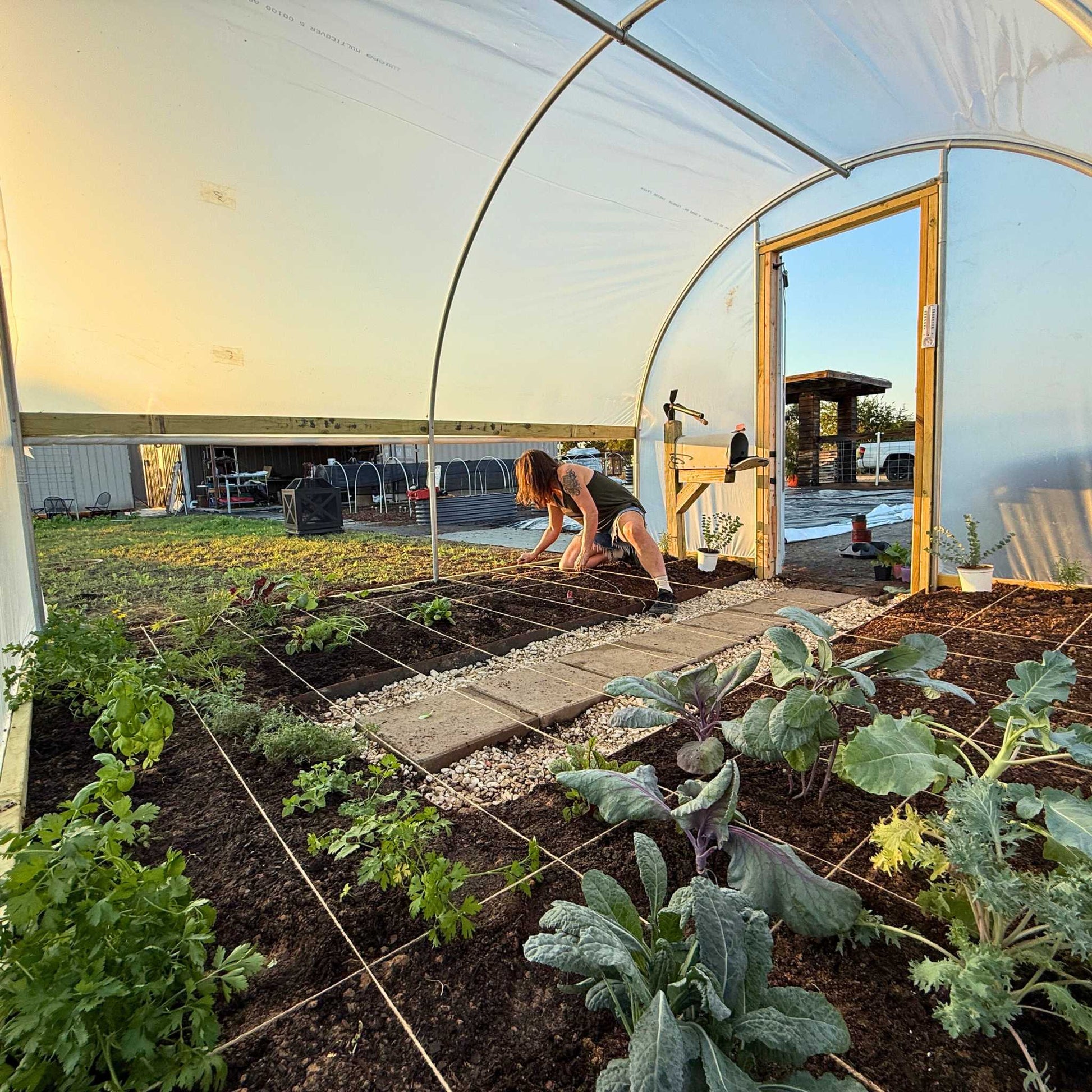 Hobby Greenhouse Kit - Bootstrap Farmer ~ Blessings Grow Meadows