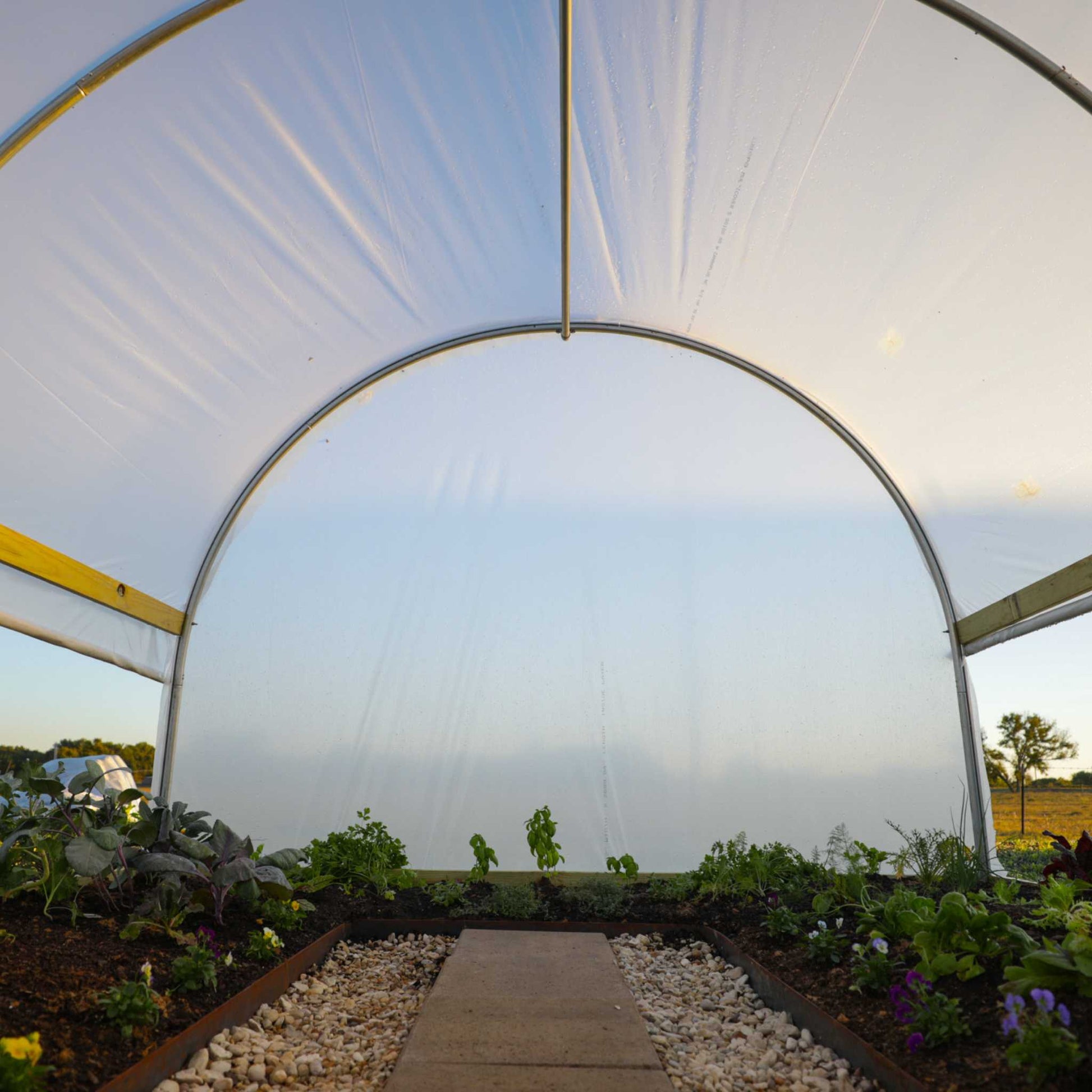 Hobby Greenhouse Kit - Bootstrap Farmer ~ Blessings Grow Meadows