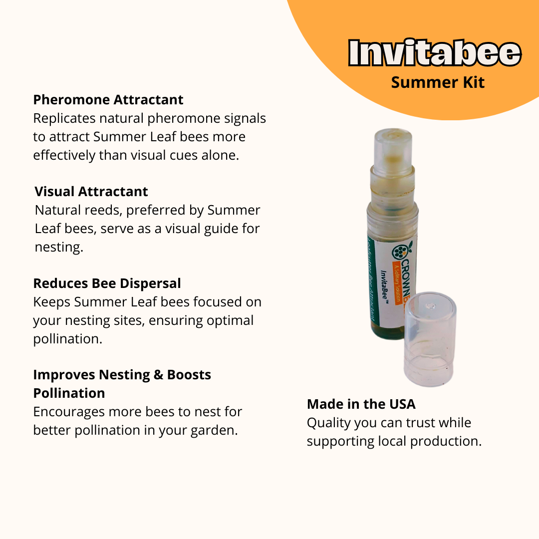 Cabana Bee House & Complete Kit with Bee Certificate - Blessings Grow Meadows