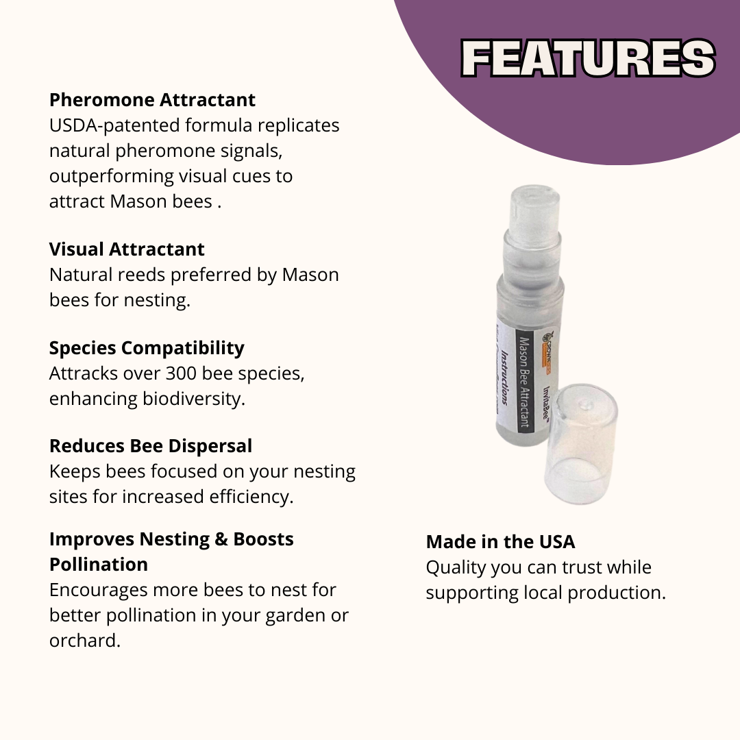 InvitaBee Mason Bee Attractant - Blessings Grow Meadows