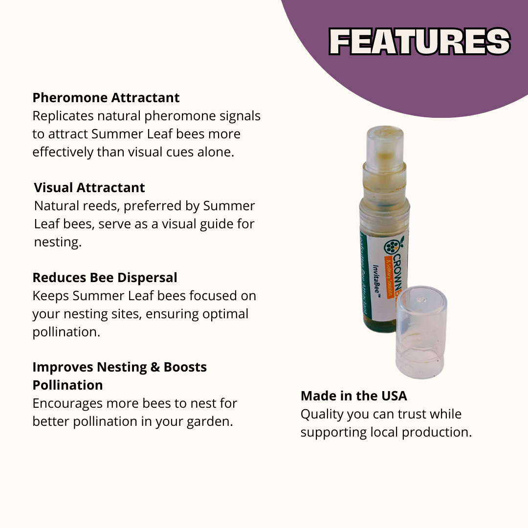 InvitaBee Summer Leaf Bee Attractant - Blessings Grow Meadows