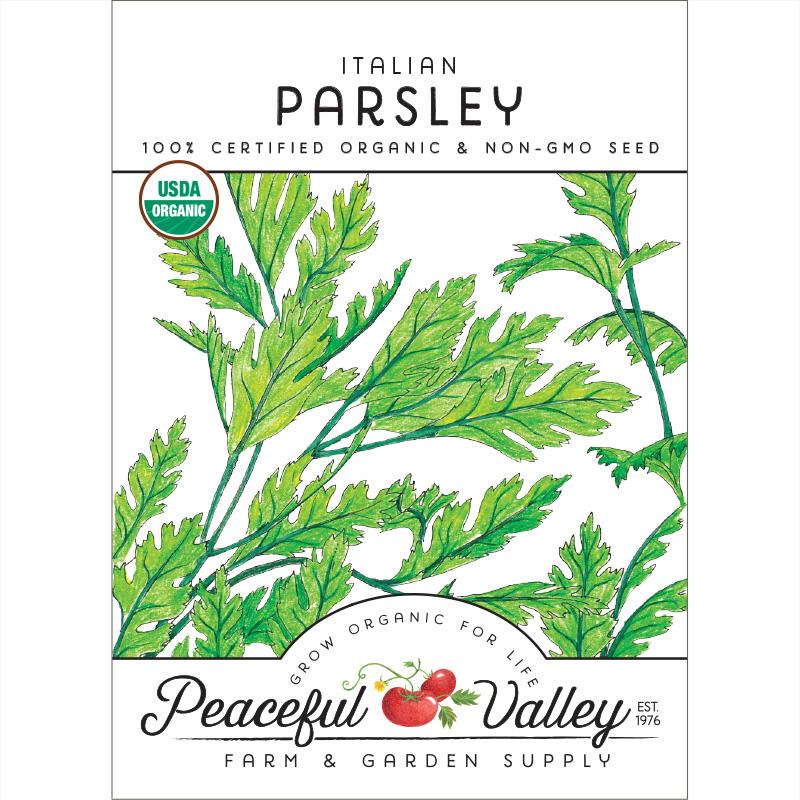 Italian Parsley Seeds (Organic) - Blessings Grow Meadows