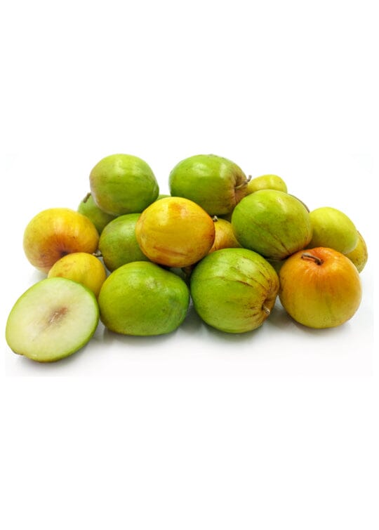 Jujube Tree Grafted - Blessings Grow Meadows -