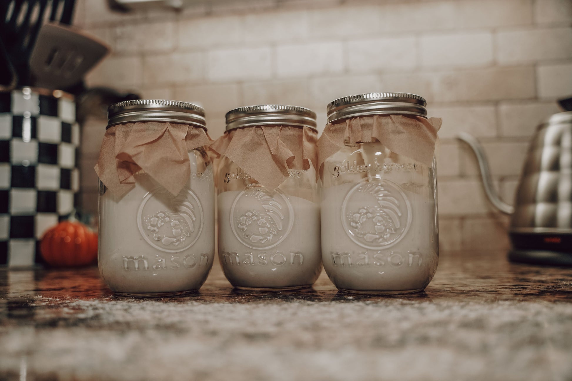 Onic Brands Sourdough Starter in a glass jar with a bubbling, active mixture ready for baking bread.