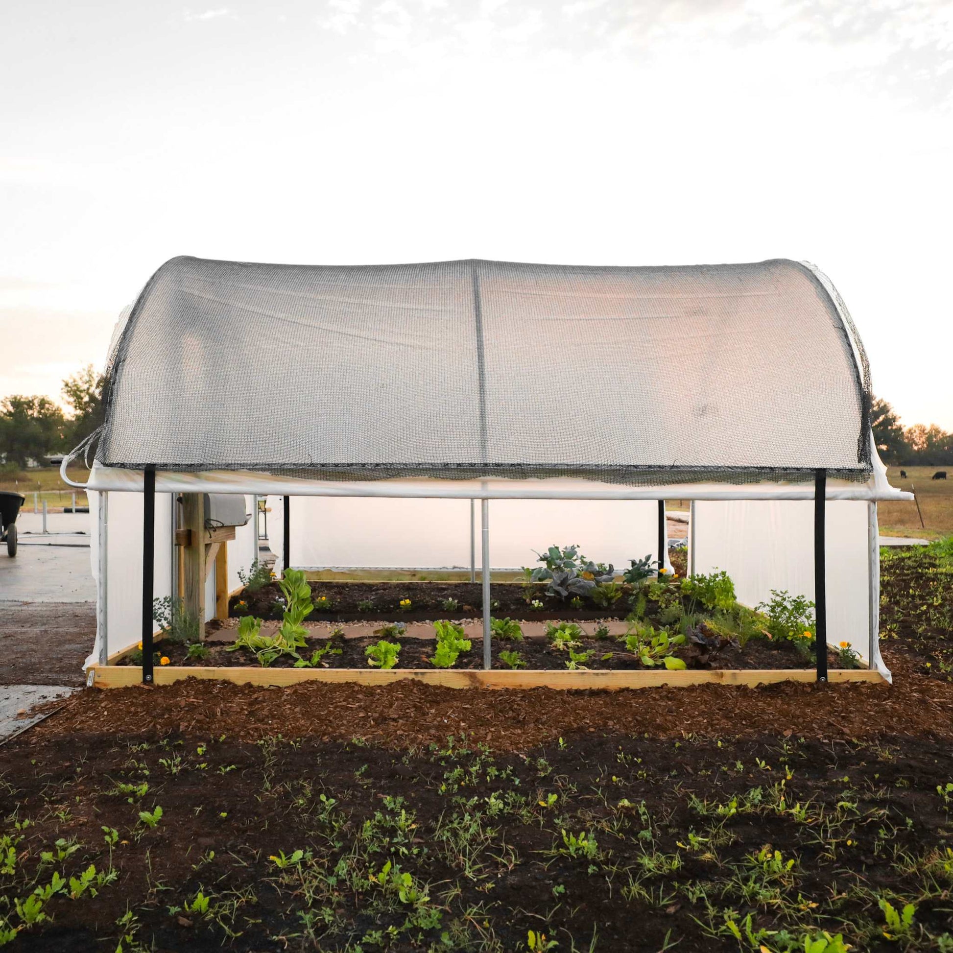 Roll-Up Side Kit for Hobby Greenhouse - Bootstrap Farmer ~ Blessings Grow Meadows