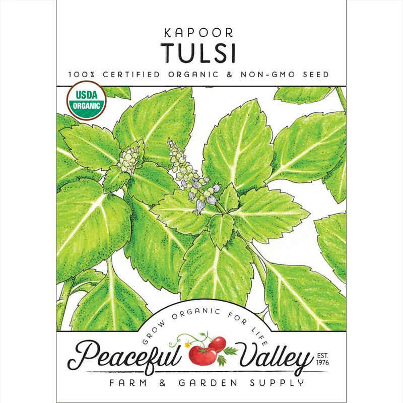 Kapoor Tulsi Seeds (Organic) - Blessings Grow Meadows