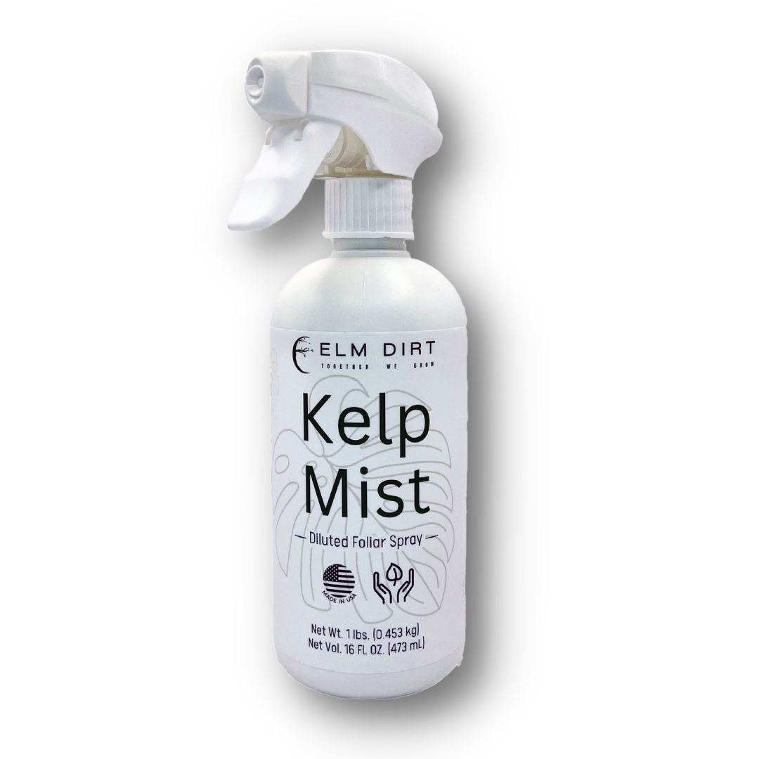 Kelp Mist by Elm Dirt - Blessings Grow Meadows -