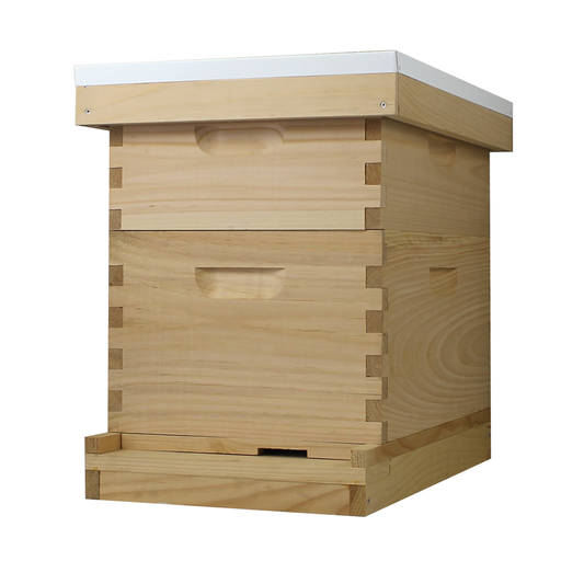 8 Frame Complete Beehive Kit – Fully Assembled (1 Deep & 1 Medium Boxes) Amish-Made with Frames & Wax-Coated Foundations