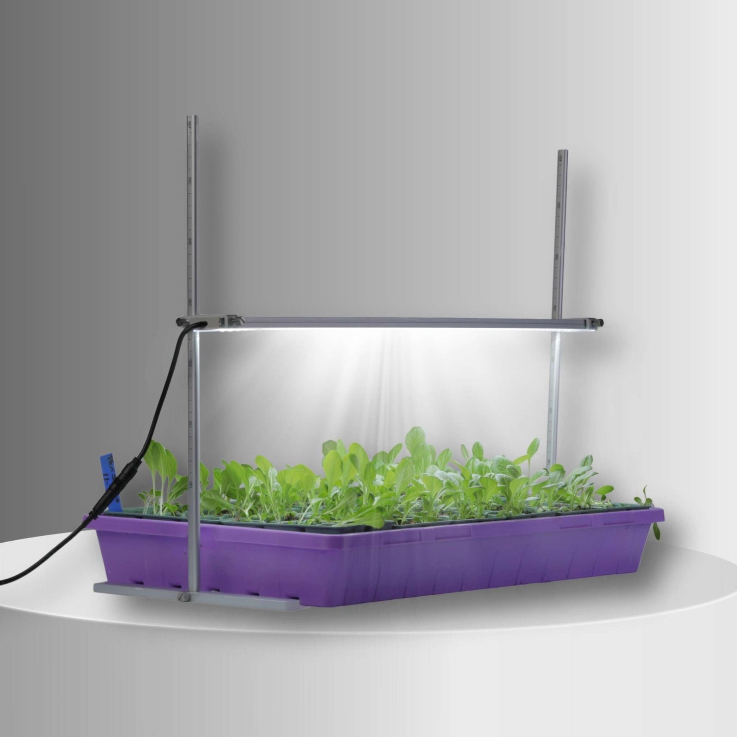 2 FT LED Grow Light with Stand - Bootstrap Farmer ~ Blessings Grow Meadows